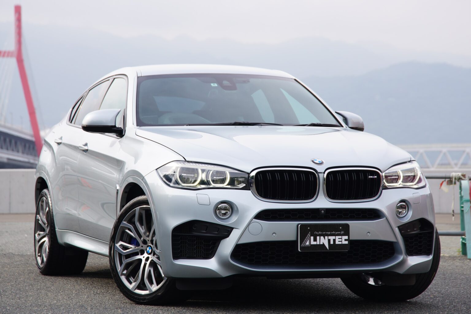 BMW X6 M4.4 4WD 1年保証付 Mパフォーマンス 21インチAW ドラレコ （シルバーストーン） | 外車・輸入車の買取、販売 ...